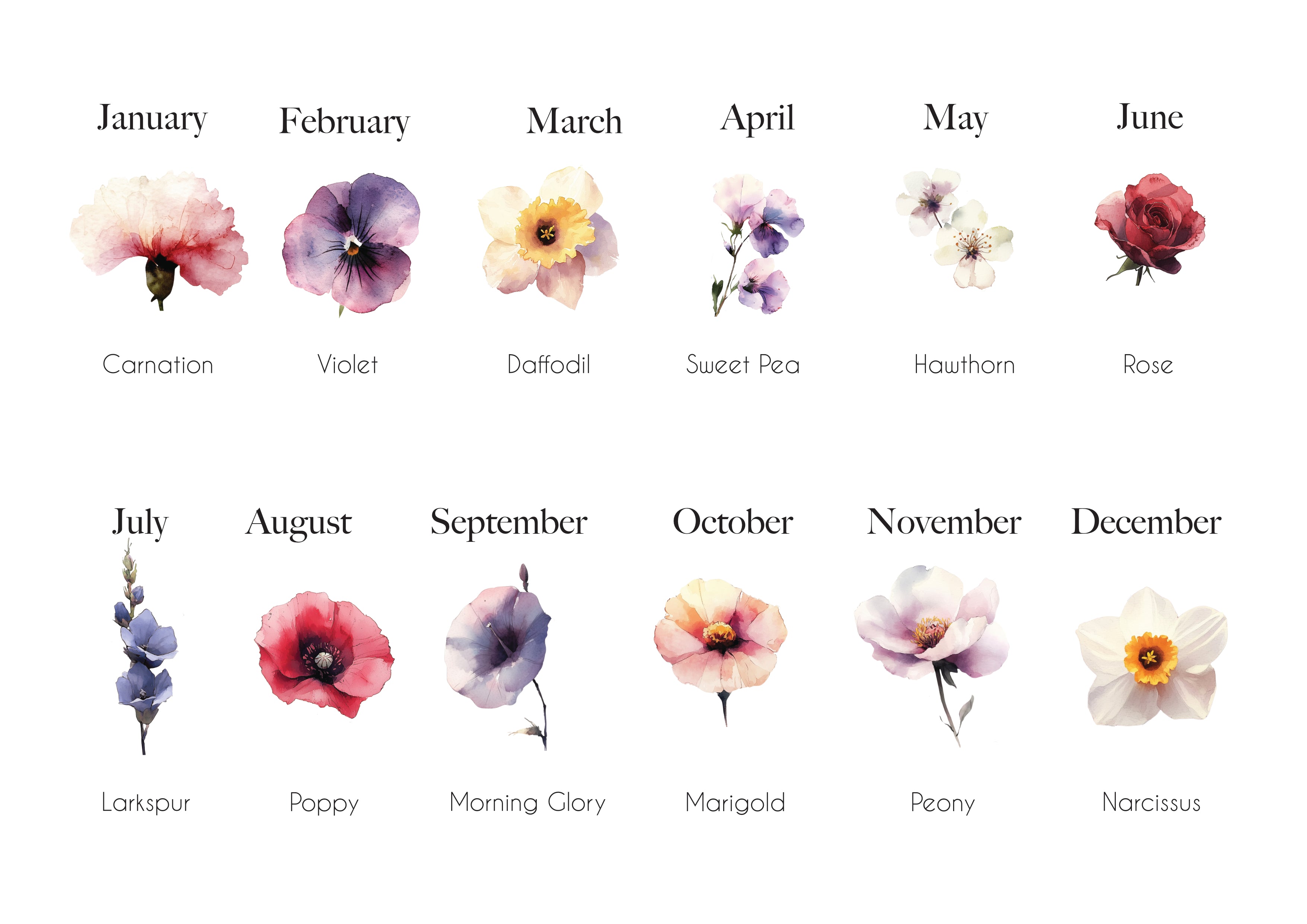 Example of birth month flowers for personalised cushion design