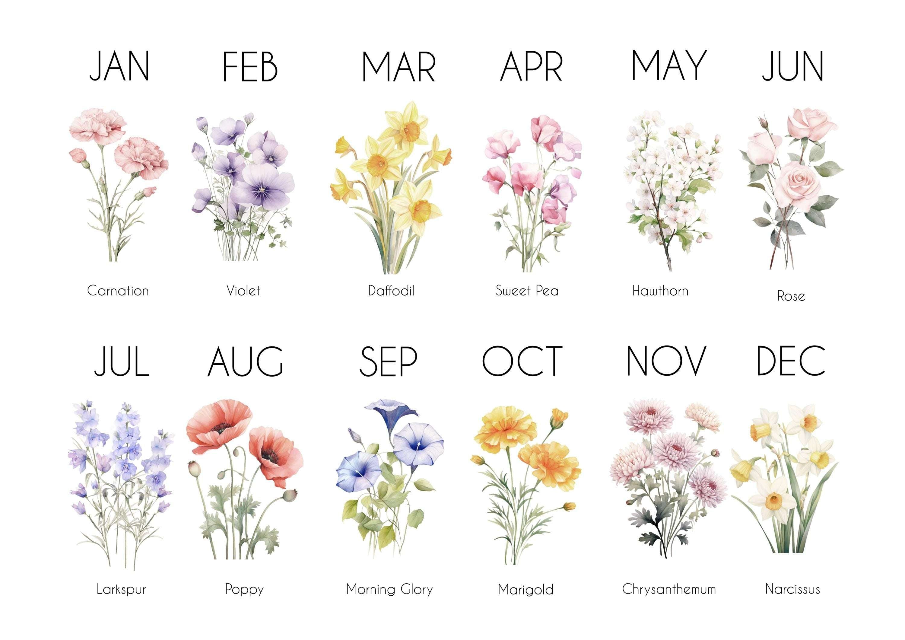 Example of birth month flowers for personalised cushion design