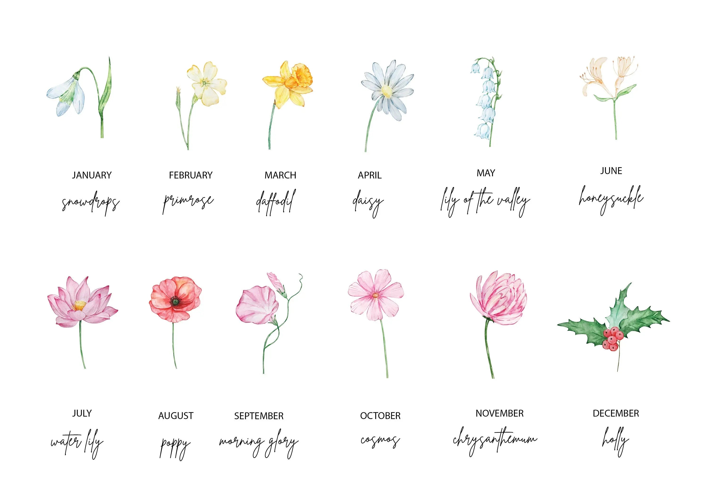 Example of birth month flowers for personalised print design
