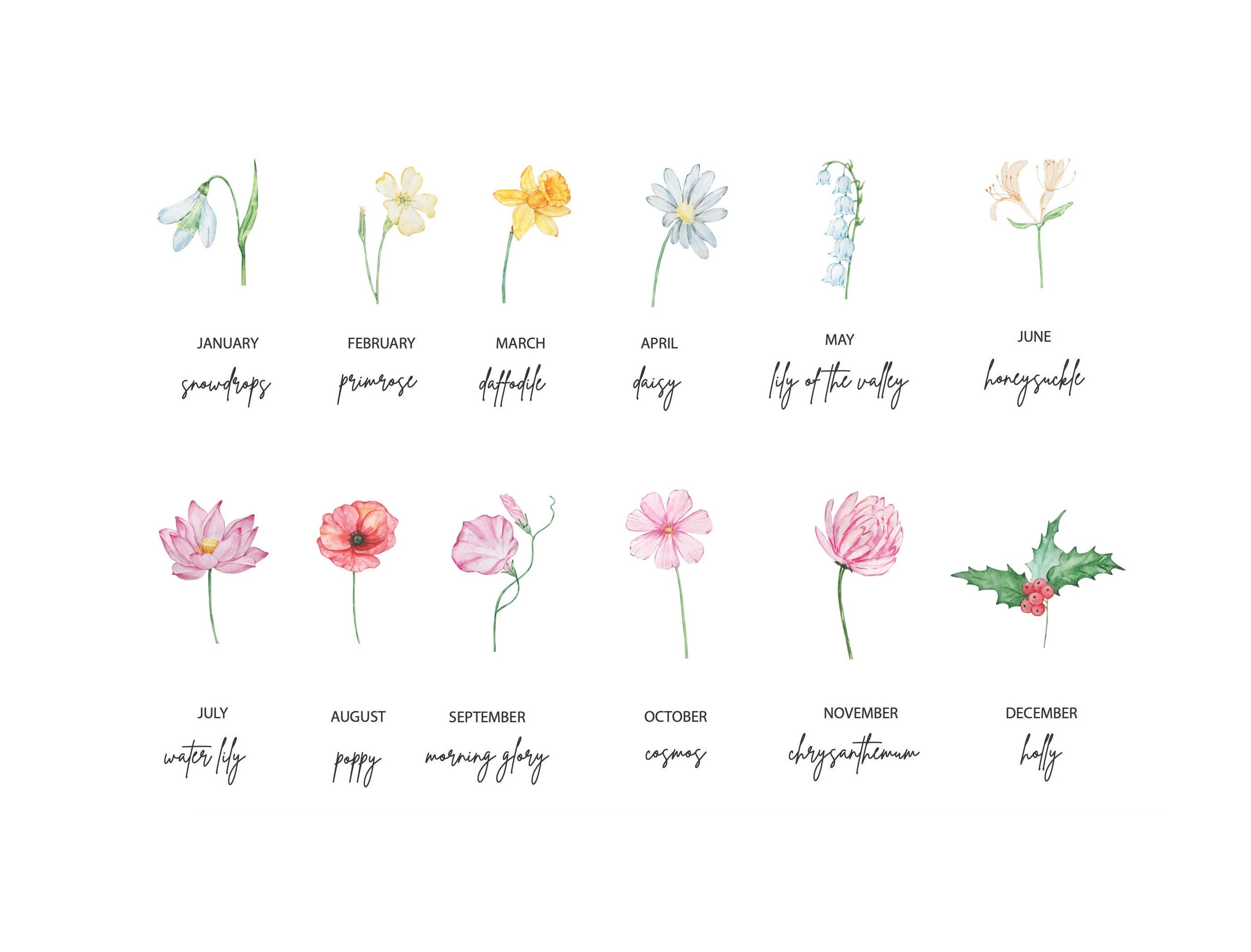 Example of birth month flowers for personalised print design