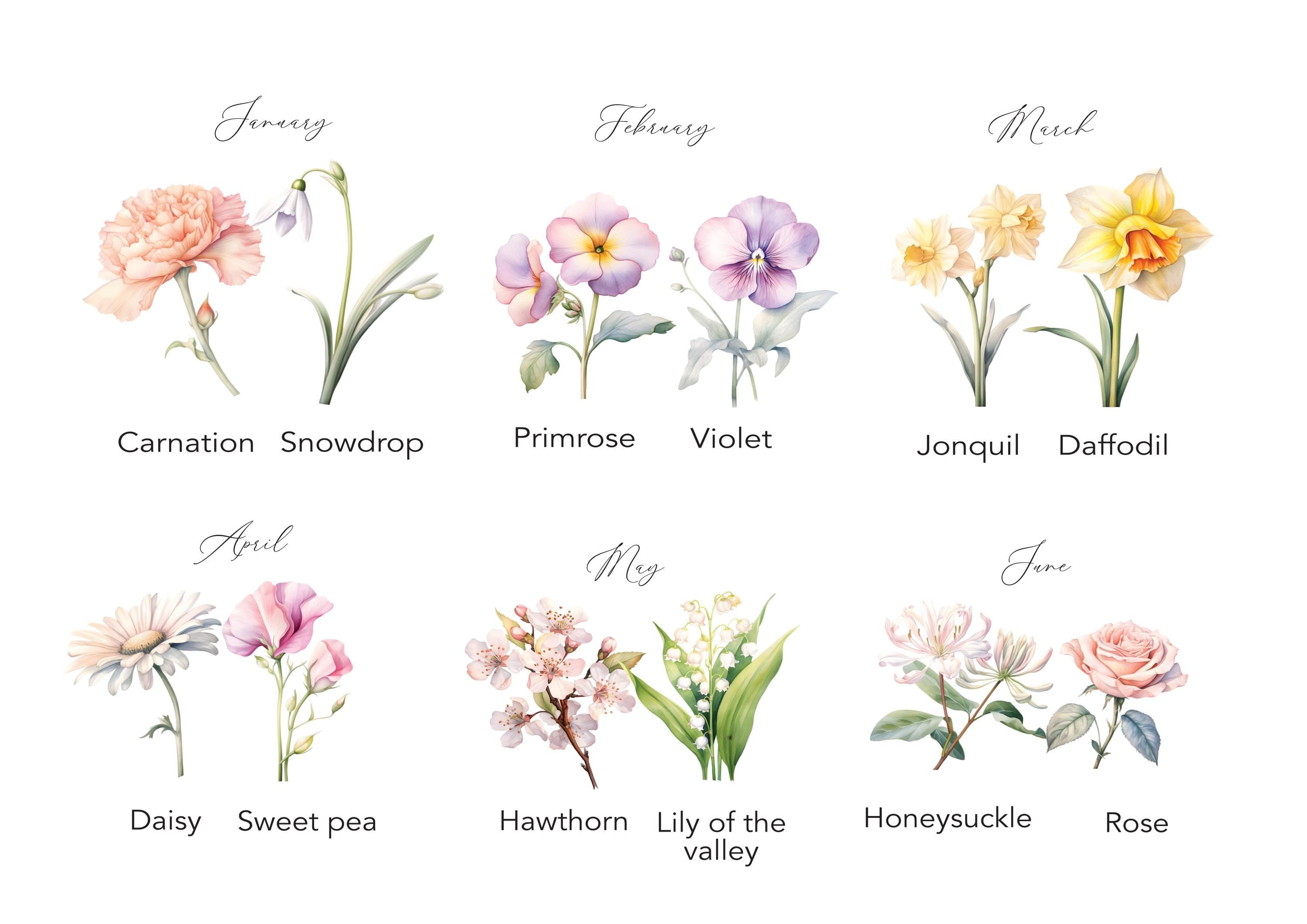 Example of birth month flowers for personalised print design