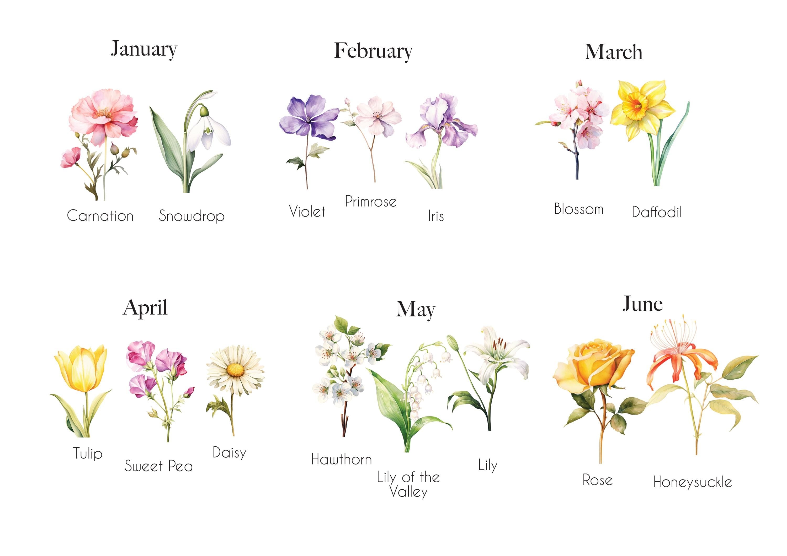 Example of birth month flowers for personalised cushion design