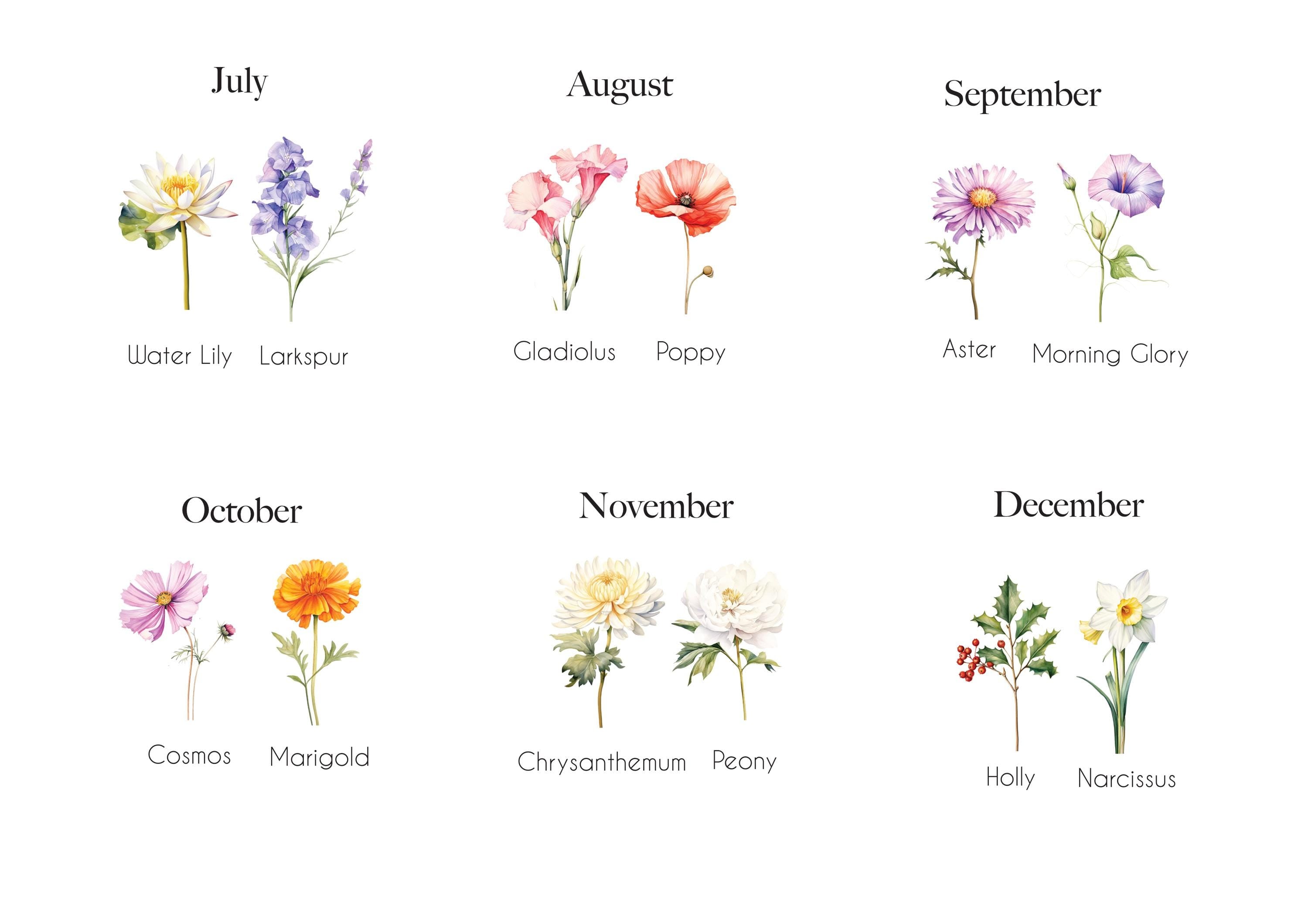 Example of birth month flowers for personalised cushion design