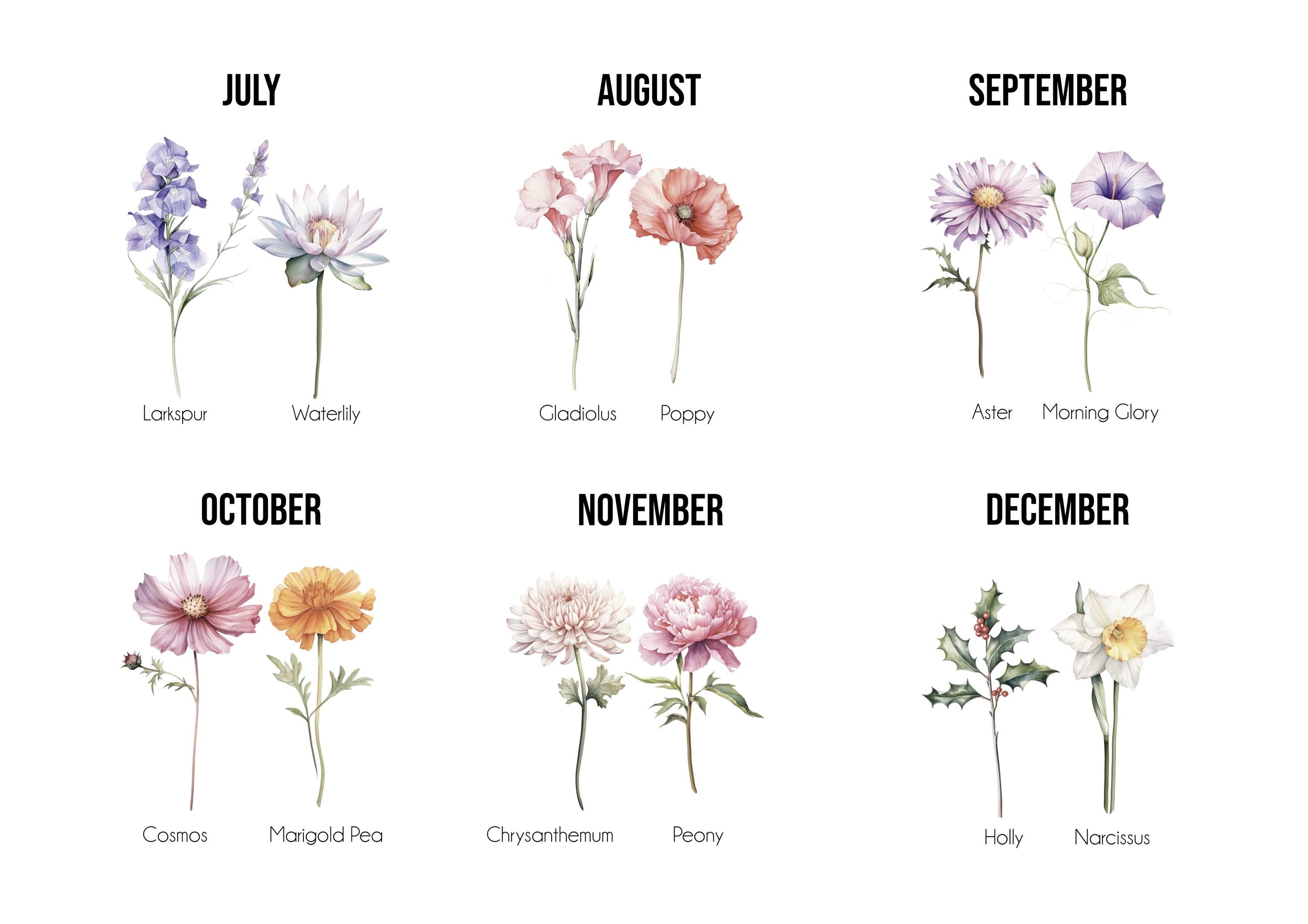 Example of birth month flowers for personalised print design