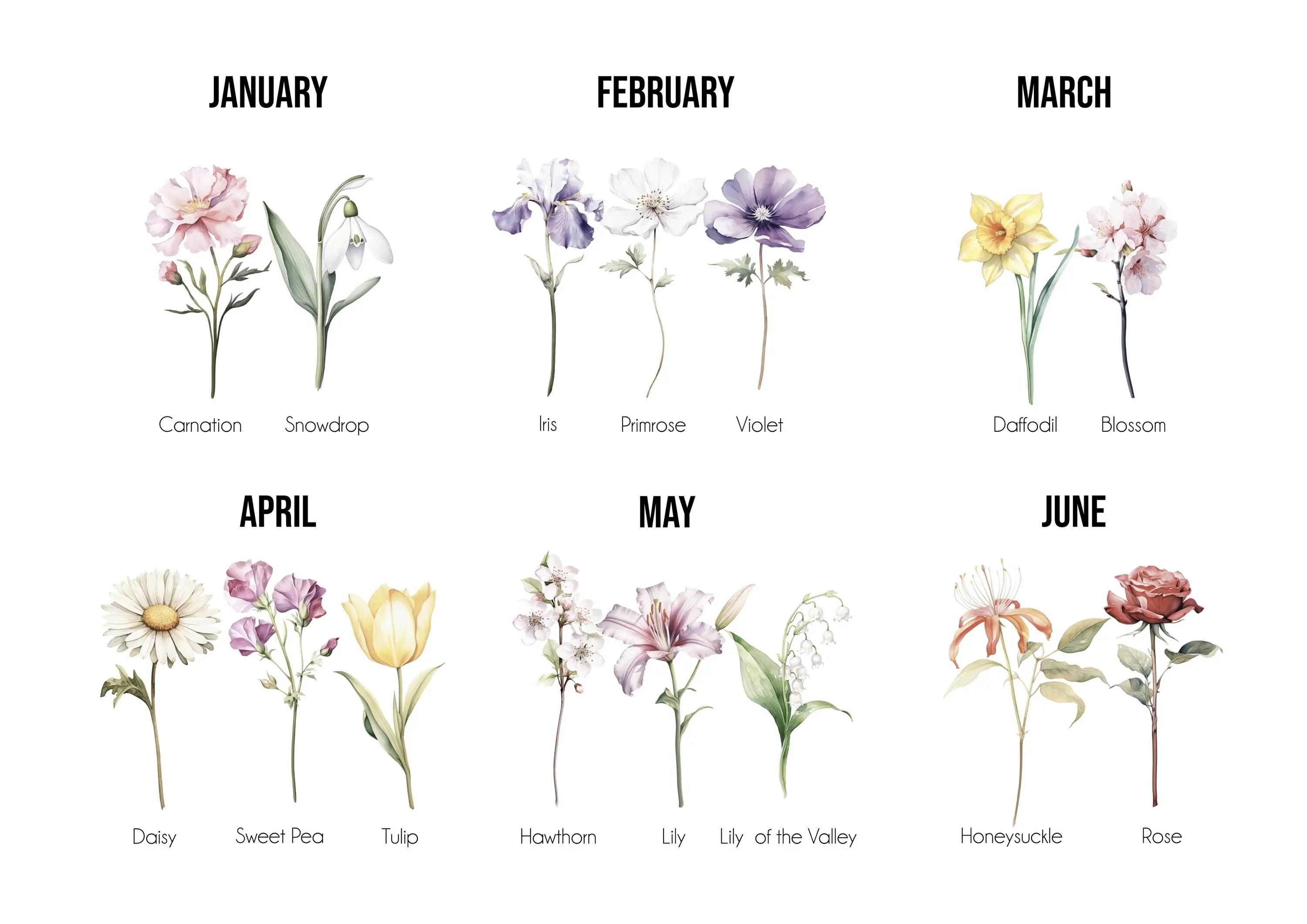 Example of birth month flowers for personalised print design
